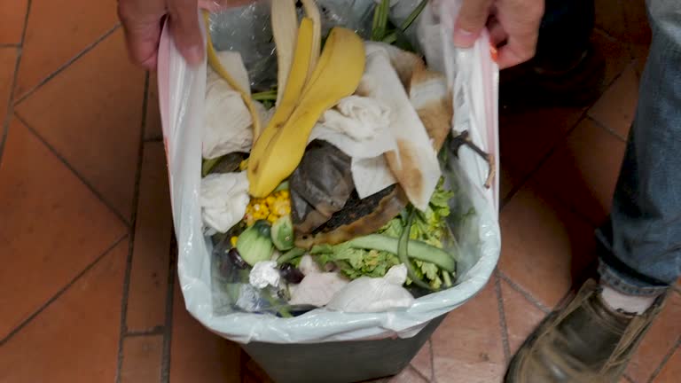 Best Recycling Services for Junk  in Monsey, NY
